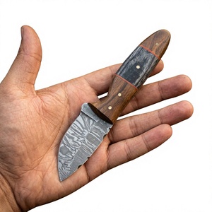 Cuchillo de Supervivencia y Caza de Acero de Damasco Forjado a Mano, Hoja Fija Mini Tipo Drop Point, Mango de Madera, Grado Industrial, para Revendedores OEM 58/60 - Product Image 1