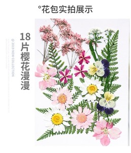Dried <strong>Flower</strong> Embossing Wholesale Internet Celebrity Face Decoration Fairy Makeup Bridal Makeup Girl Photo Diy Real <strong>Flower</strong> <strong>Press</strong> - Product Image 3