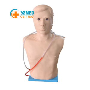 Modèle d'entraînement à la ponction péricardiale et à l'injection intracardiaque, outil pédagogique en sciences médicales pour les écoles de médecine - Product Image 1