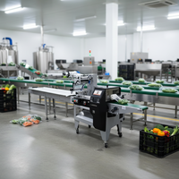 Couteau rotatif automatique SZ-100 pour film supérieur et emballage de sachets en plastique pour l'industrie alimentaire et les snacks