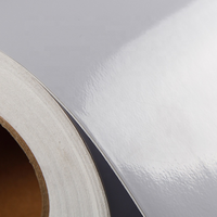 Película Adhesiva de PVC Imprimible en Rollos, Apta para Vinilos Decorativos, Películas para Automóviles y Fabricantes de Publicidad en Autobuses