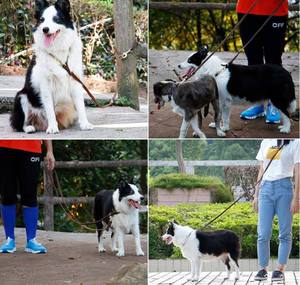 Quchonpet Verstelbare Zachte Hondenriem Twee Handgreep Lederen Hondenriem Handgemaakt Koeienhuid Hardlopen Handsfree Hondenriem - Product Image 5