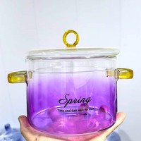 Marmite à soupe en verre borosilicate transparent de 1,5 L avec couvercle en verre, compatible induction, doubles poignées, design moderne pour