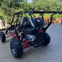 Gran Oferta: Go Kart Todoterreno de 200cc, Motor Refrigerado por Aceite con 17.6N.m de Torque, Ruedas de Aluminio para Carreras de Adultos