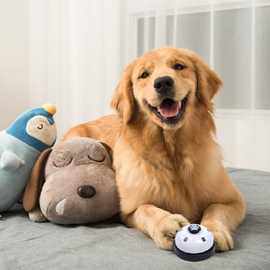 Campana de Metal Chapada en Oro con Logotipo Personalizado para el Entrenamiento de Mascotas, Base de Goma Antideslizante para el Entrenamiento y Comportamiento de Perros - Product Image 4