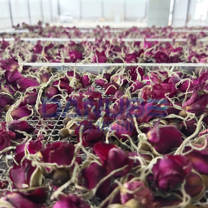 Electric Hot Air Oven Dryer Tea Leaf Drying Machine Stevia Hibiscus Rose Hemp Flower Dryer Machine - Product Image 4