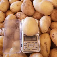 رخيصة الثمن المهنية الجديدة المحاصيل بذور البطاطس البطاطا الطازجة الحلو