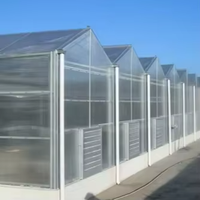 Serre commerciale multi-travées Sinok en polycarbonate, kit de couverture en plaques PC pour l'agriculture, pour légumes, fruits et fleurs