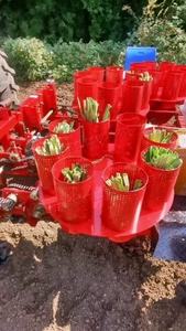 เครื่องปลูกต้นหอมผักอเนกประสงค์เครื่องหยอด<span class=keywords><strong>เมล็ด</strong></span>พริกมะเขือเทศมันเทศเครื่องปลูกต้นไม้เครื่องยนต์สูง - Product Image 5