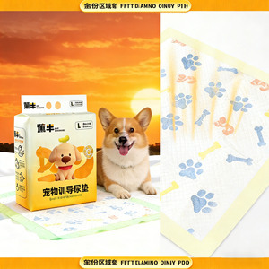 Pet Training <b>Pee</b> <b>Pad</b> L Size Thickened Absorbent For Dog Puppy Training - Product Image 3