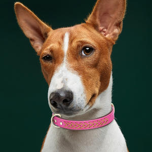 Gran oferta 2025, <span class=keywords><strong>Collar</strong></span> de perro para mascotas de aleación con patrón de hueso transpirable de cuero PU tejido a mano, adecuado para perros pequeños y medianos - Product Image 4