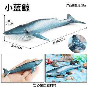 Modelli solidi di animali marini yxs: balena blu, orca, squalo martello, mantarca, megalodon, orso marino, leone marino - Product Image 2