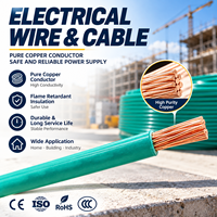Câble d'alimentation 450 750V THW résistant à la corrosion, en cuivre pur, isolé en PVC, pour circuits intérieurs, ignifuge, fil électrique