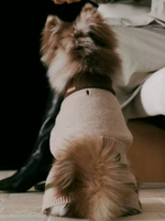 Pull pour chien personnalisé en laine mérinos, vêtements pour chien pour un cadeau mémorable, pull pour chien tricoté