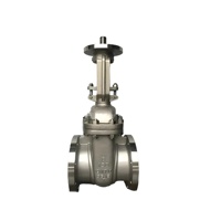 Katup Gerbang Baja Tahan Karat Kelas 150 ANSI, Material CF8M/316, Bersertifikasi API 600, Kustomisasi OEM untuk Sistem Air/Minyak/Gas