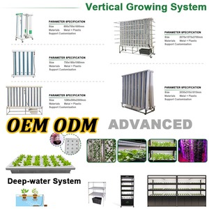 Vertical <strong>Pineapple</strong> Aeroponic Hydroponic Grow Vertical Tower with Grow <strong>Lights</strong> Two Linear Led Grow <strong>Lights</strong> for Hydroponic Tower - Product Image 6