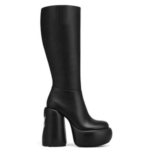 Bottes hautes à talons ronds pour femmes, plateforme épaisse, styles uniques, bottines longues, design personnalisé, chaussures à fermeture éclair latérale - Product Image 6