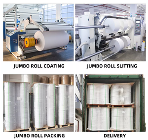 PP Thermal Film Adhesive <strong>Paper</strong> in Jumbo <strong>Rolls</strong> - Product Image 5