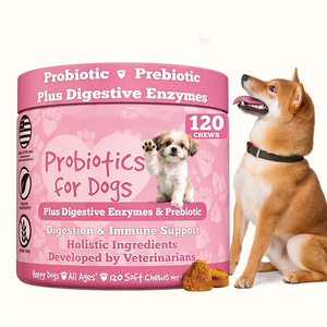 Probiotiques Flora Shield pour chiens OEM ODM à puissance maximale, avec enzymes digestives et prébiotiques, 120 comprimés à mâcher pour une <span class=keywords><strong>flore</strong></span> <span class=keywords><strong>intestinale</strong></span> saine - Product Image 6