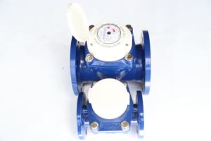 Промышленный чугунный R80-100 с большим холодным фланцем, 40-300 - Product Image 6