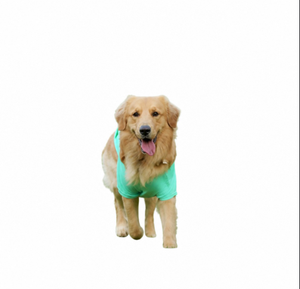 Suéteres para Perros de Diferentes Tallas, Sudadera con Capucha para Dachshund, Ropa para Cachorros, Suéter para Cachorros, Sudadera con Capucha para Perros, Ropa de Invierno para Perros - Product Image 3