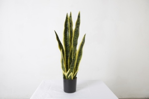 Planta Artificial <span class=keywords><strong>de</strong></span> 56 cm, Tipo Bonsái, Suculenta '<span class=keywords><strong>Lengua</strong></span> <span class=keywords><strong>de</strong></span> Madre', en Maceta, para Interiores - Product Image 3