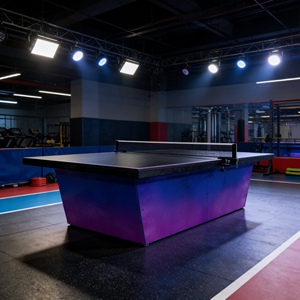 <span class=keywords><strong>Table</strong></span> <span class=keywords><strong>de</strong></span> tennis <span class=keywords><strong>de</strong></span> <span class=keywords><strong>table</strong></span> d'extérieur haute élasticité, rebond optimal, pour club et entraînement professionnel - Offre Spéciale - Product Image 1