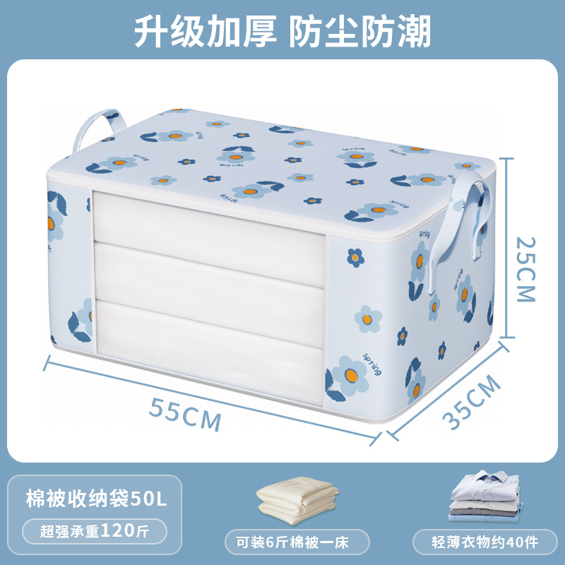 Bleu visible, taille moyenne.