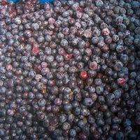 IQF Diepvries Blauwe Bessen Groothandelsprijs Bulk Diepvries Blauwe Bessen BRC HACCP Gecertificeerd Diepvriesvruchten voor Bakkerijen Smoothies OEM