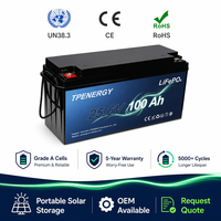 TPENERGY Baterai Lithium LiFePO4 Ringan 12V 24V 100Ah 200Ah 300Ah untuk Sistem Tenaga Surya Rumah Tangga, Penyimpanan Off-Grid dengan BMS untuk RV