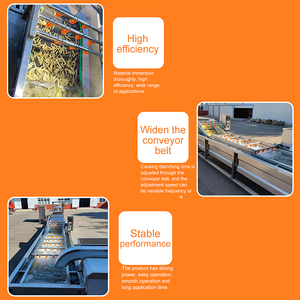 Dây chuyền sản xuất chiên đông lạnh liên tục mới cho khoai tây chiên giòn cho nhà máy chế biến rau có trái cây tươi - Product Image 6