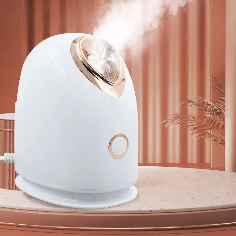 Home Mini Aroma Face Steamer Facial Warm Mist Humidifier Atomize Ionic Face Steamer