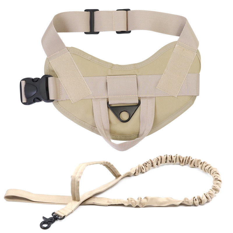Conjunto de color caqui