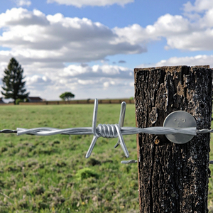 Clôture en fil de fer <span class=keywords><strong>barbelé</strong></span> pour animaux de ferme oiseau bétail fil de fer <span class=keywords><strong>barbelé</strong></span> vente en gros - Product Image 1