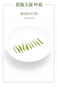 <span class=keywords><strong>ชา</strong></span>ที่มีชื่อเสียงทางประวัติศาสตร์ของจีน-Longguan 'Gentleman's friendship' Organic Slimming Premium ชุดของขวัญ<span class=keywords><strong>ชา</strong></span>เขียวพรีเมียม - Product Image 4