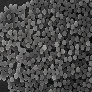 Perles magnétiques avec groupes fonctionnels carboxyliques pour l'accouplement biomoléculaire, l'immunoanalyse et le diagnostic - Product Image 1