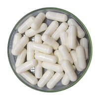 Capsules de fruits et légumes de ventes directes d'usine pour le supplément de fines herbes de capsules de fruit d'équilibre nutritionnel