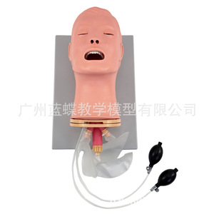 Modelo avanzado multifuncional para entrenamiento de intubación endotraqueal, gestión de la apertura de las vías respiratorias, práctica de succión. - Product Image 4