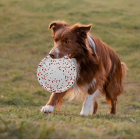 Jouets pour chiens interactifs de luxe écologiques personnalisés de haute qualité, jouets indestructibles pour chiens, disques volants d'entraînement ETPU