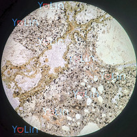 100% Factory Prepared Microscope 12 Pcs Geology Mineral Stone Thin Section Prepared Microscope Slides for Professional Geology