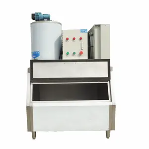 LEADER Industrial famous brand compressor 1 ton 2ton 3ton 5ton 10ton 15ton 20ton 25ton 30ton flake ice machine fish