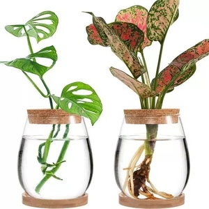 Emballage transfrontalier créatif pour <span class=keywords><strong>vase</strong></span> en verre transparent paresseux <span class=keywords><strong>Bouteille</strong></span> de plante hydroponique en liège écologique pour fleur d'aneth <span class=keywords><strong>vert</strong></span> - Product Image 1