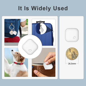 Customizable 4G <strong>Real</strong>-<strong>Time</strong> IOS Tracking IP68 Waterproof <strong>GPS</strong> Pet <strong>Locator</strong> <strong>with</strong> 1 Year Battery Life Mini Design Plastic Material - Product Image 1