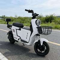 Vélo électrique urbain longue distance à grande vitesse avec moteur arrière, fonctionnalités électroniques intelligentes, transmission à 3 vitesses, cadre en acier au carbone 48V