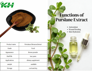 Suministros de Fábrica: Extracto de <span class=keywords><strong>Portulaca</strong></span> Oleracea en Polvo de Grado Alimenticio 10:1  30:1 - Product Image 4