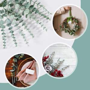 Hojas de Eucalipto Artificiales Realistas de Alta Calidad, Planta de 3 Ramas para Decoración del Hogar - Product Image 6