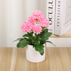 Bonsaï de pivoine artificielle Yiwu Datuo Florist 18x21cm, fleurs en pot en plastique pour la décoration intérieure - Product Image 4