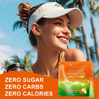 WELLBODY Poudre d'électrolytes pour adultes Boisson d'hydratation sportive Extrait de fruits naturels 10-19g de protéines Saveur personnalisée pour la force musculaire