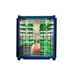 Freezer contêiner de transporte do tipo sala de plantação de produtos hortícolas em equipamentos hidroponia hidroponia nenhum solo cultivar
