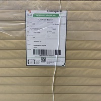 Normal Bulk High Bulk One Side Coated Fbb GC1 GC2 C1S Ivory Cardboard FBB Carton Board in Roll and Sheet